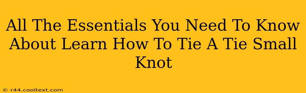 All The Essentials You Need To Know About Learn How To Tie A Tie Small Knot