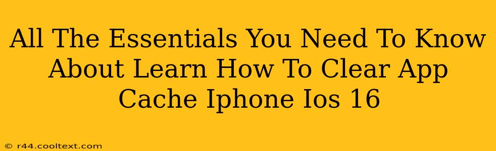 All The Essentials You Need To Know About Learn How To Clear App Cache Iphone Ios 16