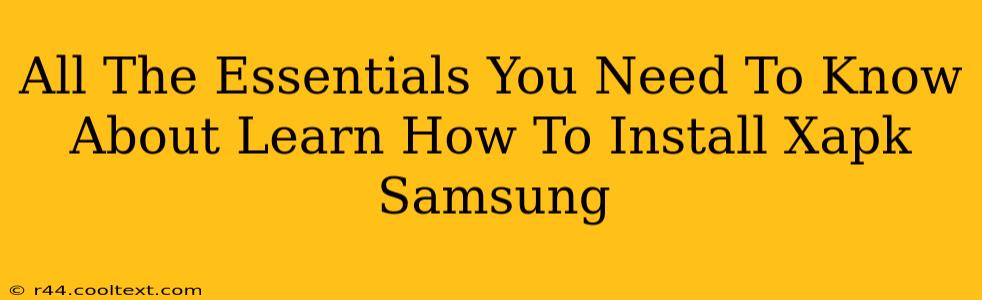 All The Essentials You Need To Know About Learn How To Install Xapk Samsung