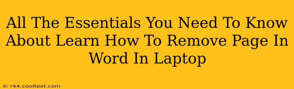 All The Essentials You Need To Know About Learn How To Remove Page In Word In Laptop