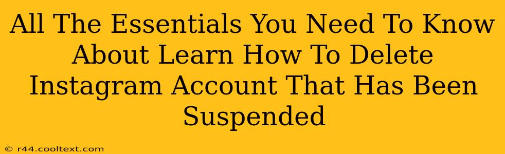 All The Essentials You Need To Know About Learn How To Delete Instagram Account That Has Been Suspended