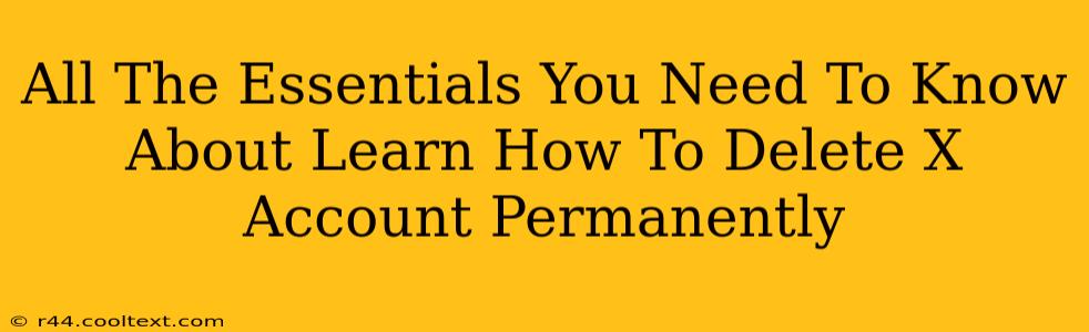 All The Essentials You Need To Know About Learn How To Delete X Account Permanently