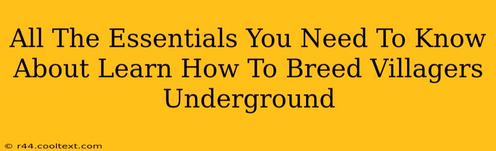 All The Essentials You Need To Know About Learn How To Breed Villagers Underground