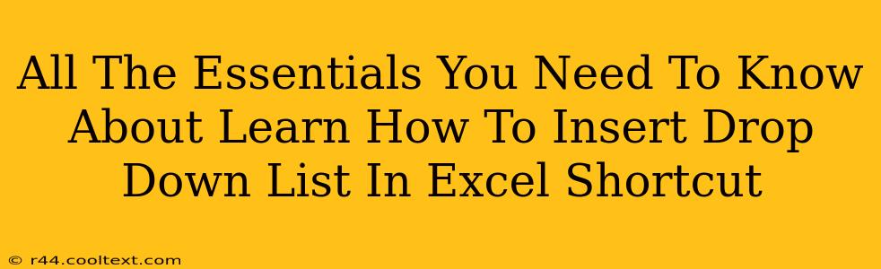 All The Essentials You Need To Know About Learn How To Insert Drop Down List In Excel Shortcut