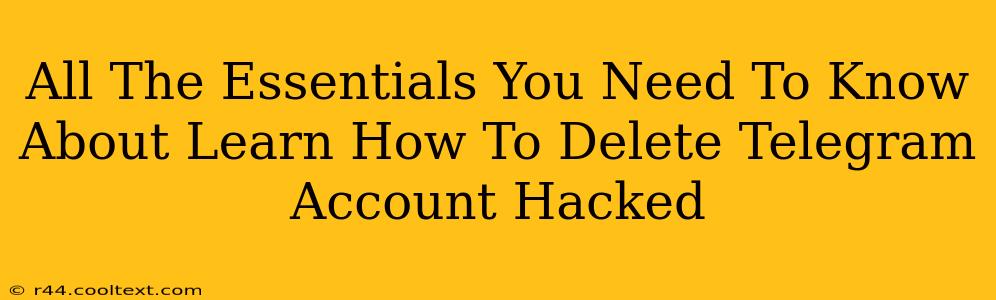 All The Essentials You Need To Know About Learn How To Delete Telegram Account Hacked