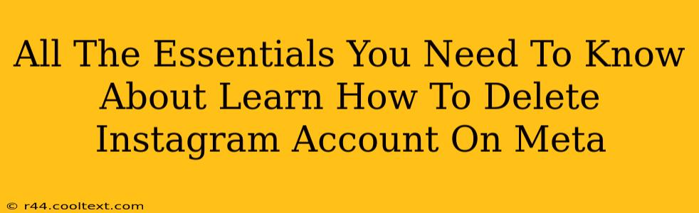 All The Essentials You Need To Know About Learn How To Delete Instagram Account On Meta