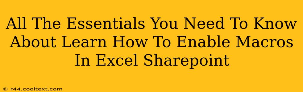 All The Essentials You Need To Know About Learn How To Enable Macros In Excel Sharepoint