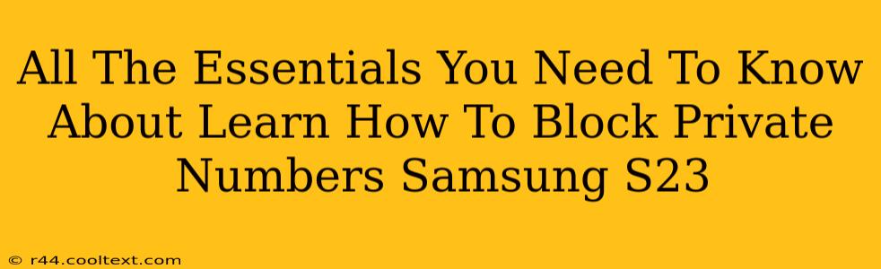 All The Essentials You Need To Know About Learn How To Block Private Numbers Samsung S23