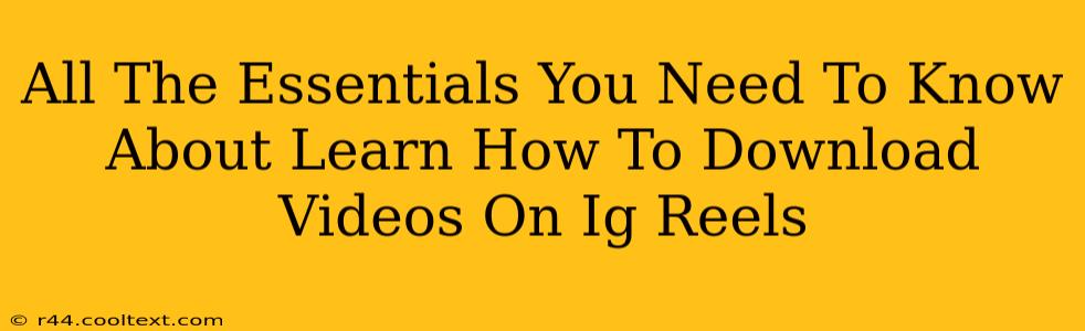 All The Essentials You Need To Know About Learn How To Download Videos On Ig Reels