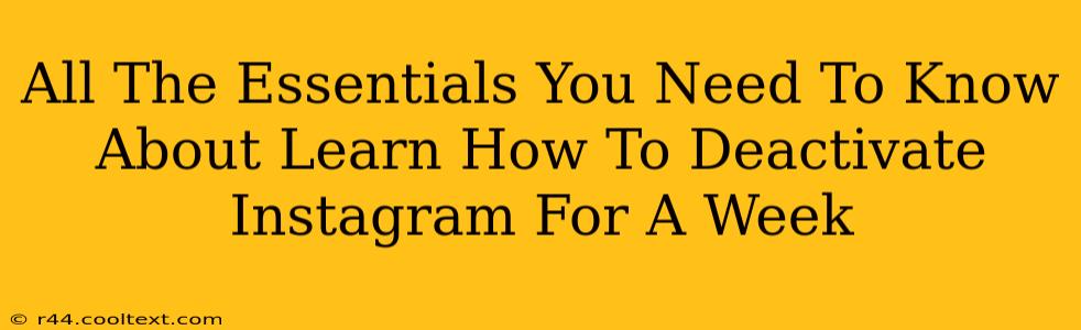 All The Essentials You Need To Know About Learn How To Deactivate Instagram For A Week