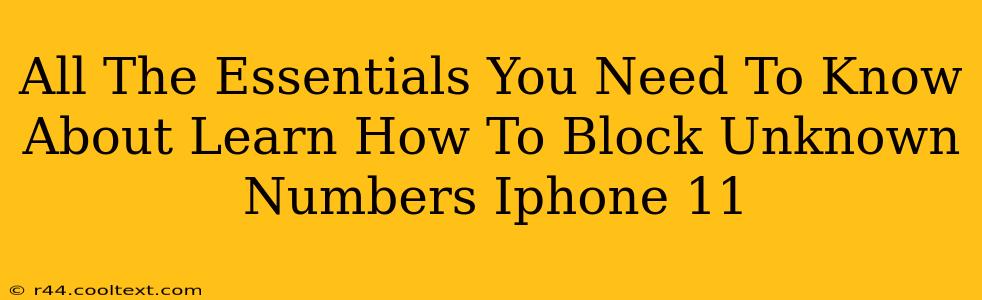 All The Essentials You Need To Know About Learn How To Block Unknown Numbers Iphone 11