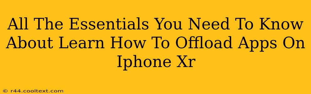 All The Essentials You Need To Know About Learn How To Offload Apps On Iphone Xr