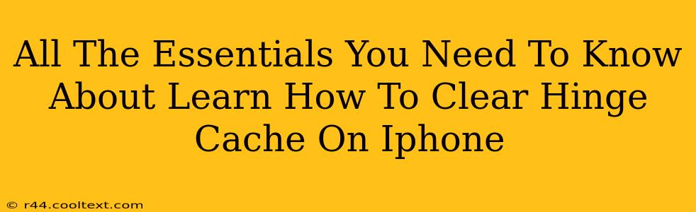 All The Essentials You Need To Know About Learn How To Clear Hinge Cache On Iphone