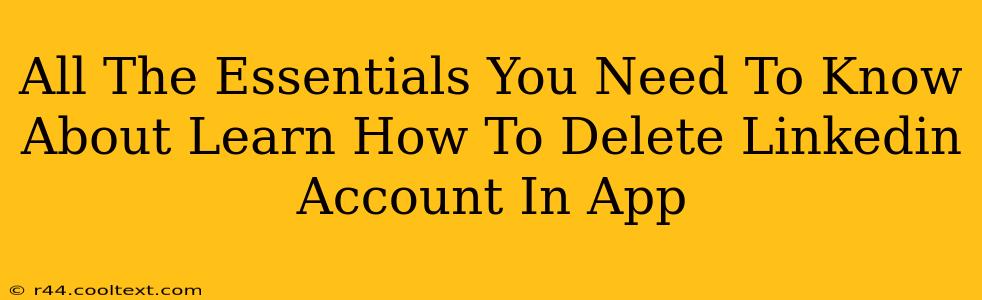 All The Essentials You Need To Know About Learn How To Delete Linkedin Account In App