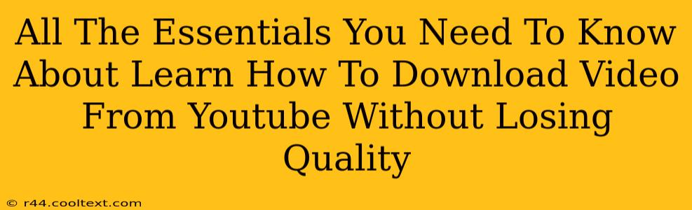 All The Essentials You Need To Know About Learn How To Download Video From Youtube Without Losing Quality