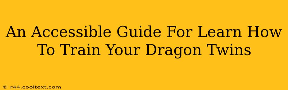 An Accessible Guide For Learn How To Train Your Dragon Twins