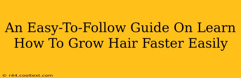 An Easy-To-Follow Guide On Learn How To Grow Hair Faster Easily