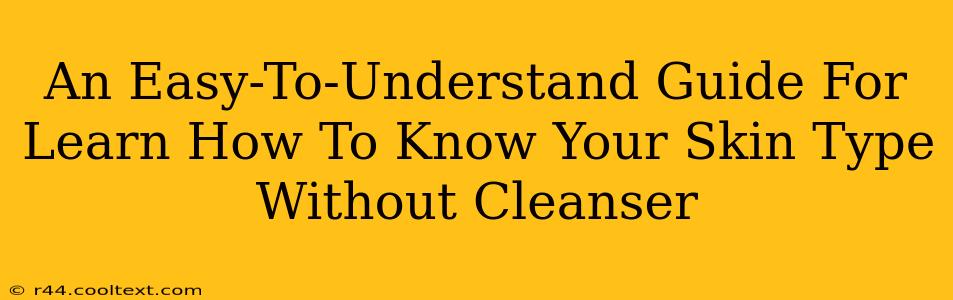 An Easy-To-Understand Guide For Learn How To Know Your Skin Type Without Cleanser