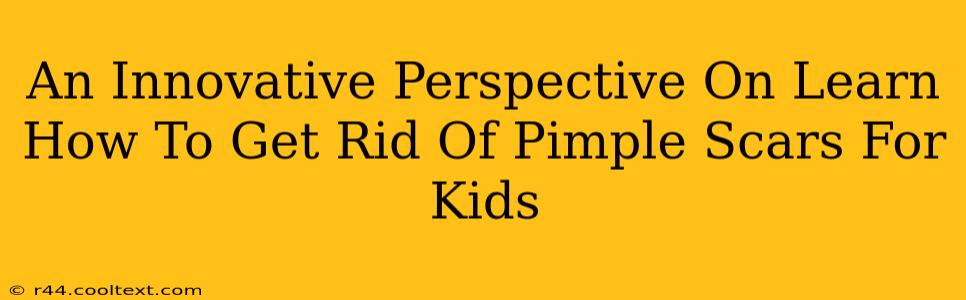 An Innovative Perspective On Learn How To Get Rid Of Pimple Scars For Kids