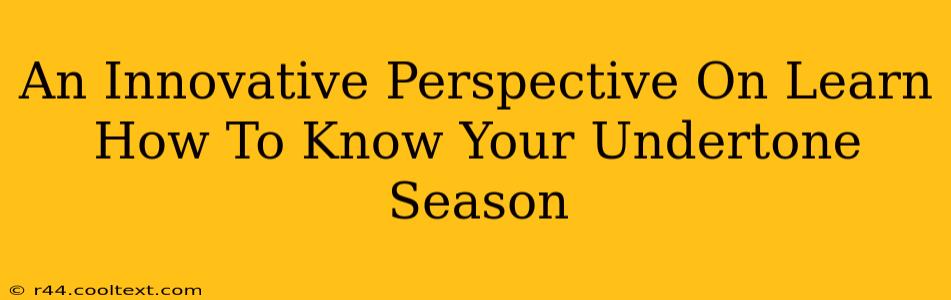 An Innovative Perspective On Learn How To Know Your Undertone Season