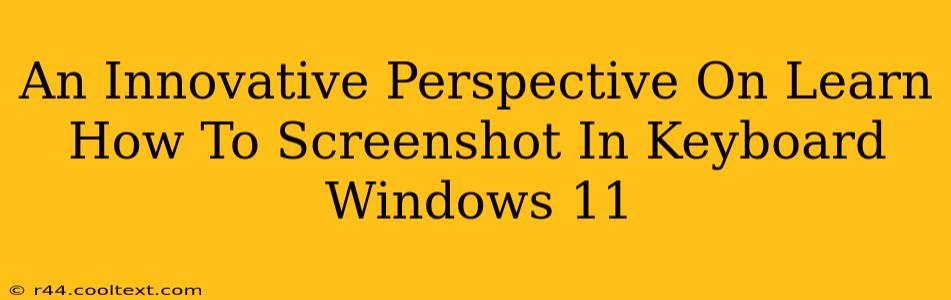 An Innovative Perspective On Learn How To Screenshot In Keyboard Windows 11