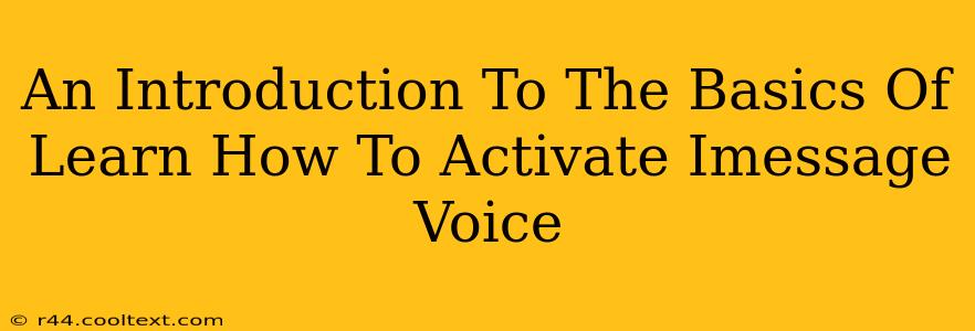 An Introduction To The Basics Of Learn How To Activate Imessage Voice