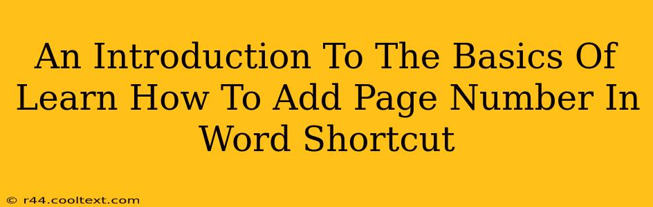 An Introduction To The Basics Of Learn How To Add Page Number In Word Shortcut