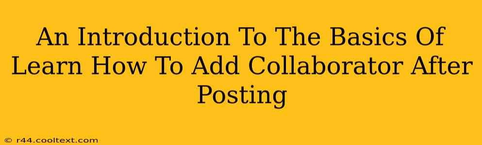 An Introduction To The Basics Of Learn How To Add Collaborator After Posting