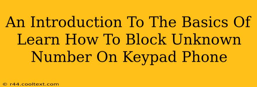 An Introduction To The Basics Of Learn How To Block Unknown Number On Keypad Phone