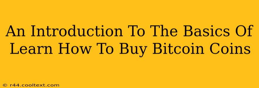 An Introduction To The Basics Of Learn How To Buy Bitcoin Coins