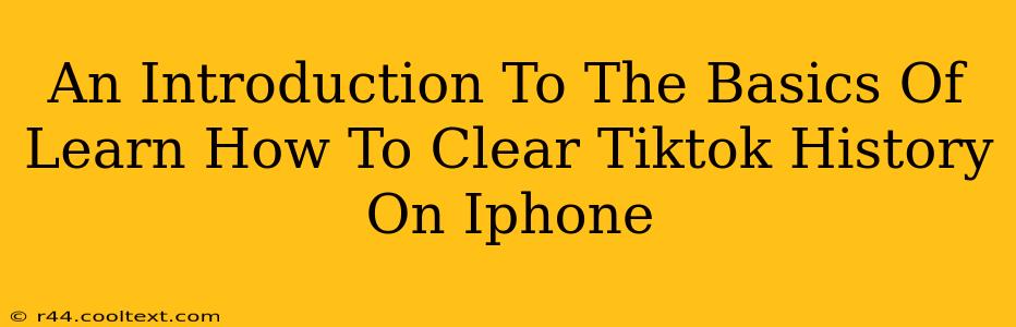 An Introduction To The Basics Of Learn How To Clear Tiktok History On Iphone