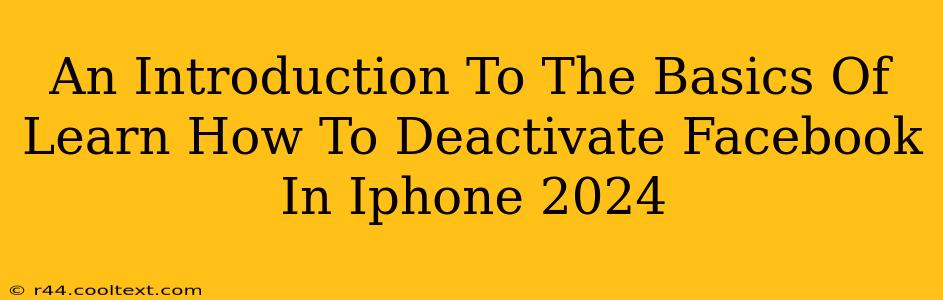 An Introduction To The Basics Of Learn How To Deactivate Facebook In Iphone 2024