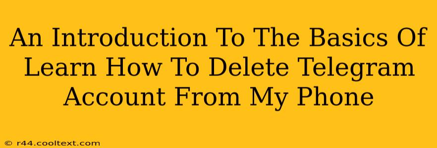 An Introduction To The Basics Of Learn How To Delete Telegram Account From My Phone