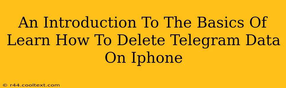 An Introduction To The Basics Of Learn How To Delete Telegram Data On Iphone