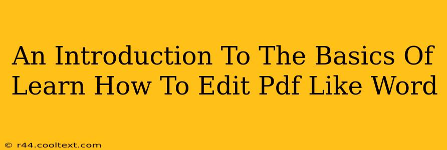 An Introduction To The Basics Of Learn How To Edit Pdf Like Word