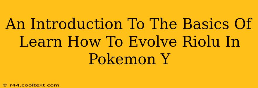 An Introduction To The Basics Of Learn How To Evolve Riolu In Pokemon Y