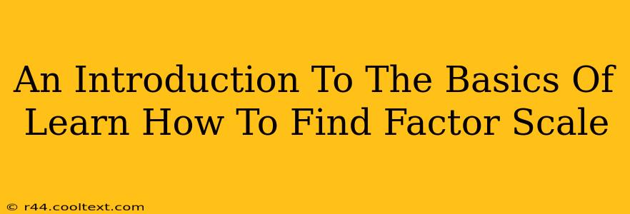 An Introduction To The Basics Of Learn How To Find Factor Scale