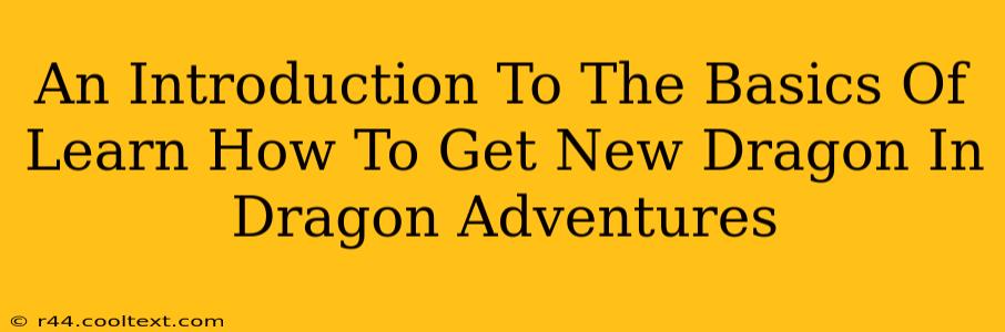 An Introduction To The Basics Of Learn How To Get New Dragon In Dragon Adventures