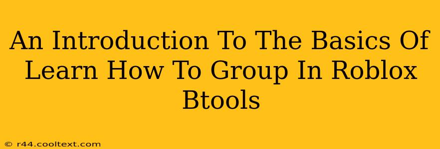 An Introduction To The Basics Of Learn How To Group In Roblox Btools