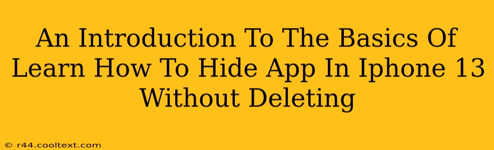 An Introduction To The Basics Of Learn How To Hide App In Iphone 13 Without Deleting