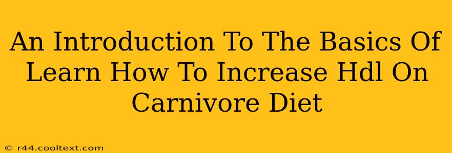 An Introduction To The Basics Of Learn How To Increase Hdl On Carnivore Diet