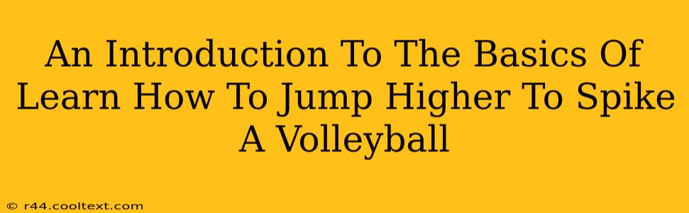 An Introduction To The Basics Of Learn How To Jump Higher To Spike A Volleyball