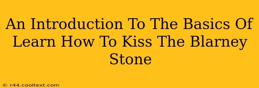 An Introduction To The Basics Of Learn How To Kiss The Blarney Stone