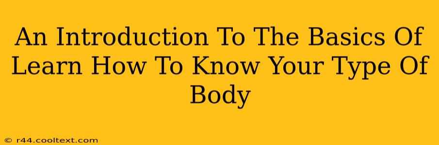 An Introduction To The Basics Of Learn How To Know Your Type Of Body