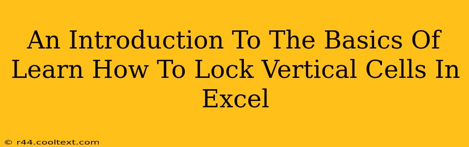 An Introduction To The Basics Of Learn How To Lock Vertical Cells In Excel