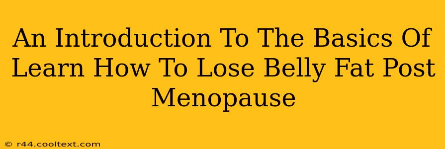 An Introduction To The Basics Of Learn How To Lose Belly Fat Post Menopause