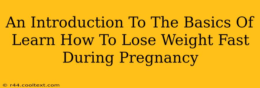 An Introduction To The Basics Of Learn How To Lose Weight Fast During Pregnancy