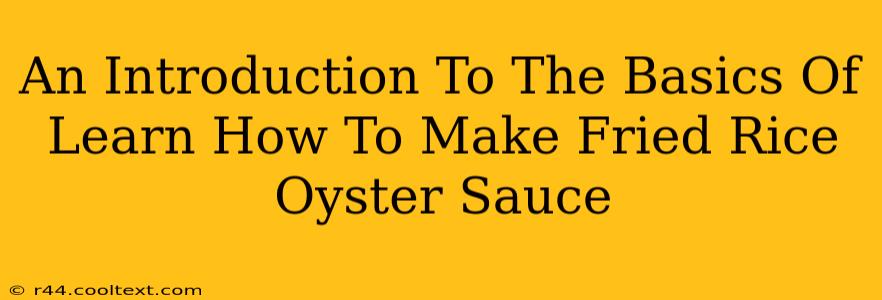 An Introduction To The Basics Of Learn How To Make Fried Rice Oyster Sauce