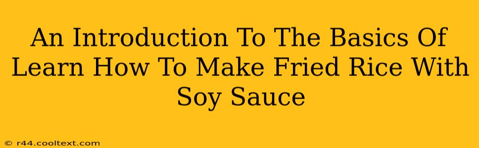 An Introduction To The Basics Of Learn How To Make Fried Rice With Soy Sauce