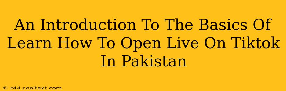 An Introduction To The Basics Of Learn How To Open Live On Tiktok In Pakistan